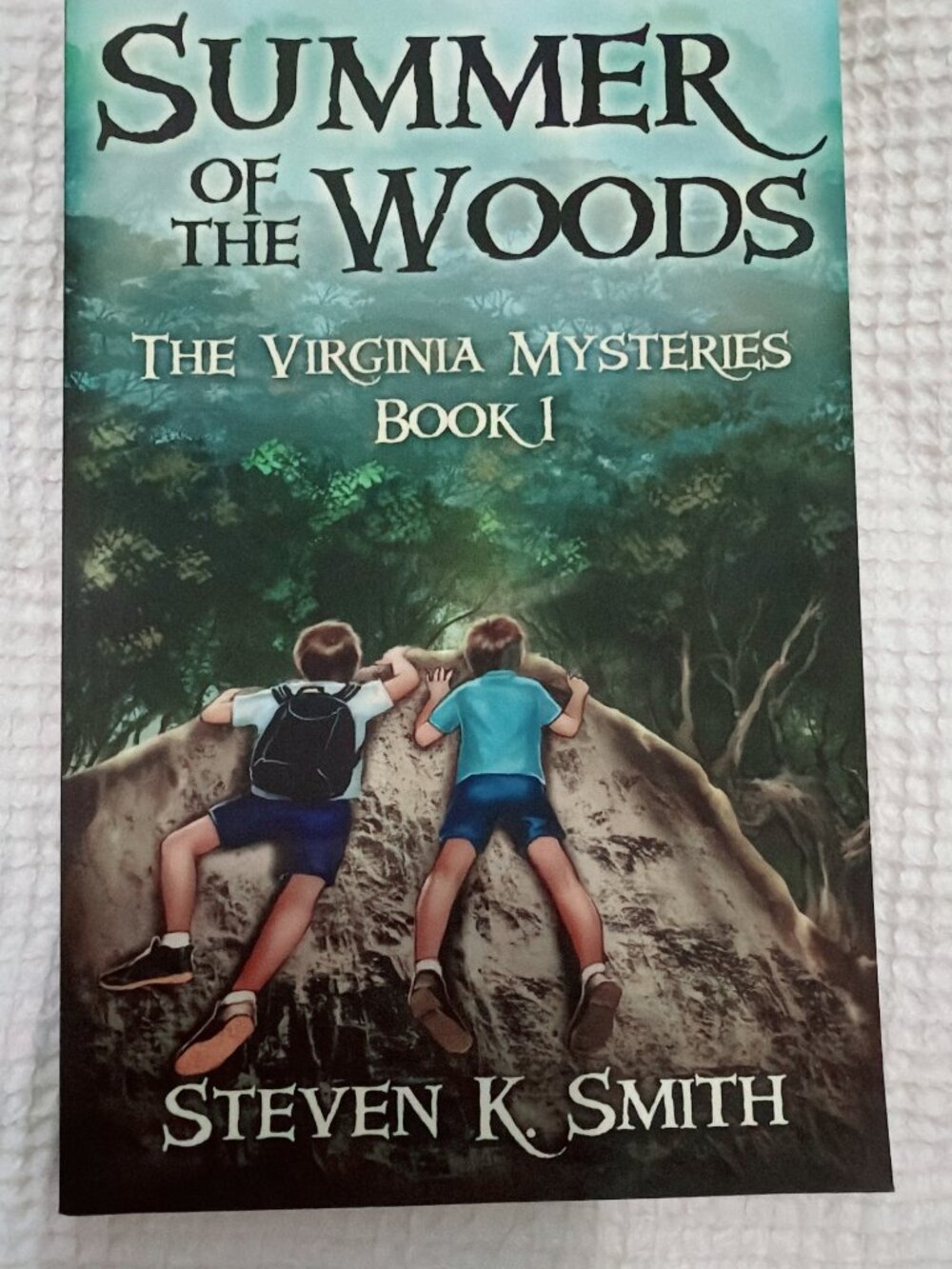 Summer of the Woods Steven K Smith Virginia Mysteries Book 1